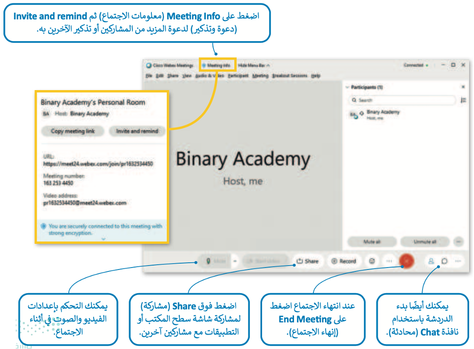 الاجتماعات عبر الإنترنت 