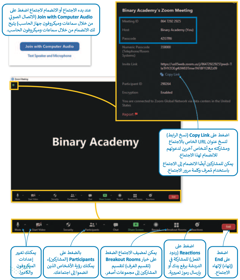 الاجتماعات عبر الإنترنت 