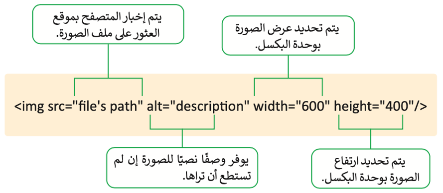 بنية المحتوى 