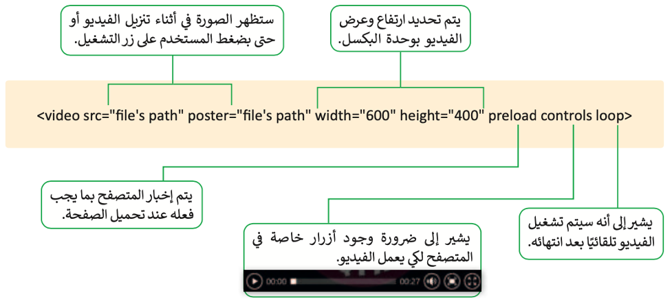بنية المحتوى 