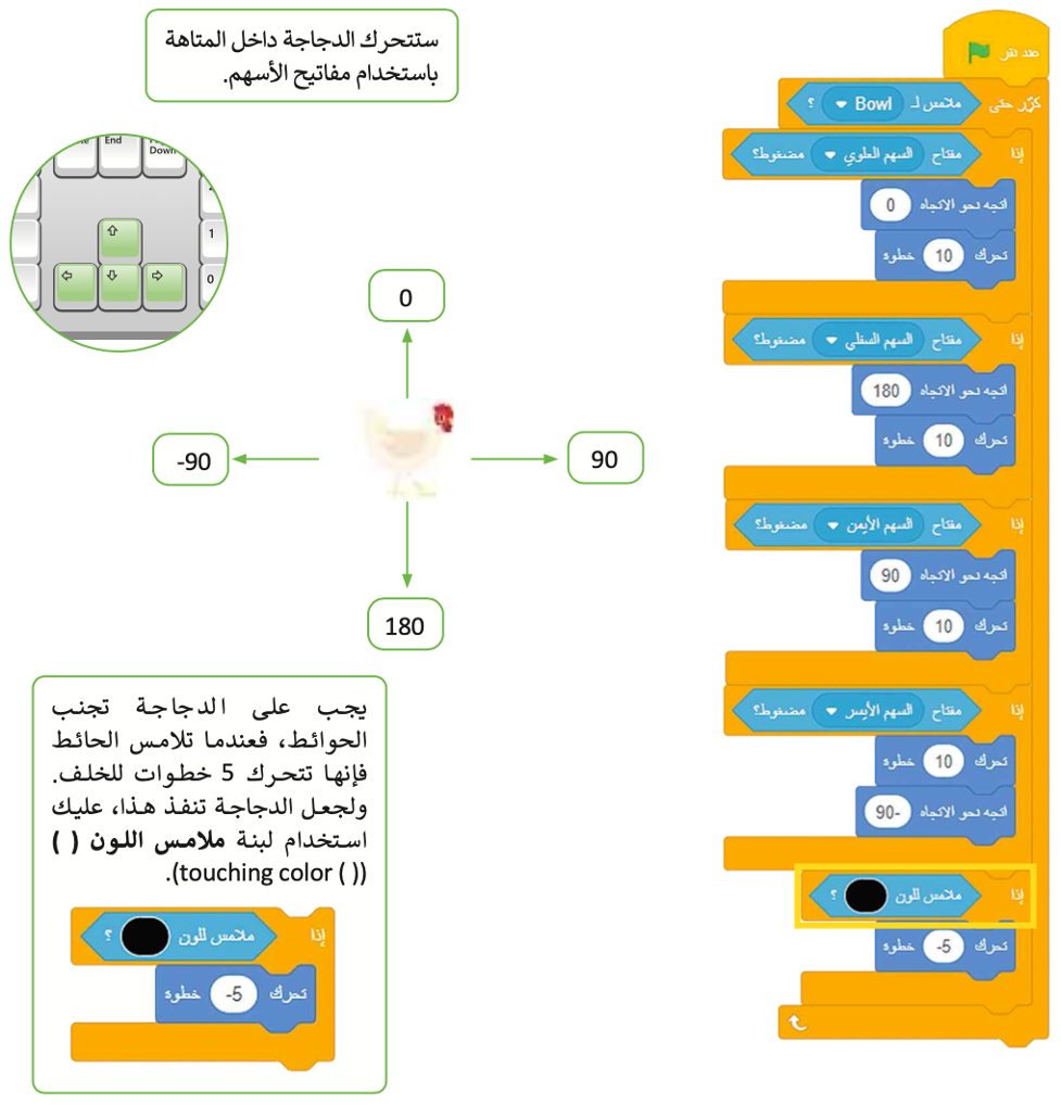 التكرار في سكراتش 