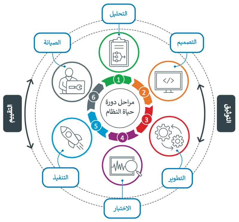 دورة حياة النظام 