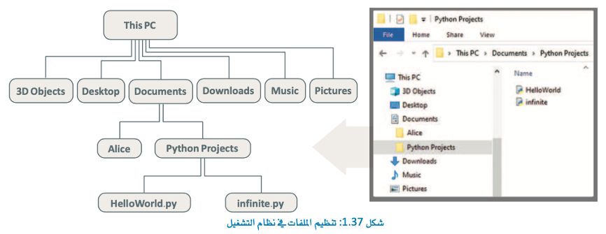هياكل البيانات غير الخطية 